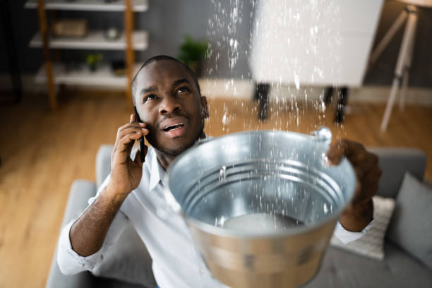Best Local water damage restoration  in Marathon, FL