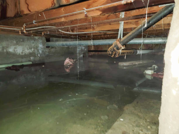 Best Water damage restoration near me  in Marathon, FL