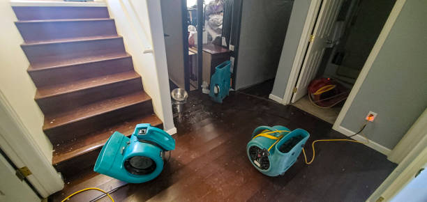 Best Water damage restoration near me  in Marathon, FL