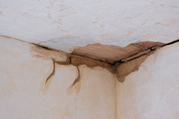 Best 24-hour water damage restoration  in Marathon, FL