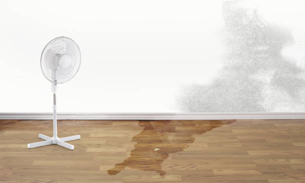 Best Flood restoration services  in Marathon, FL