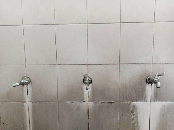 Best Carpet water damage restoration  in Marathon, FL
