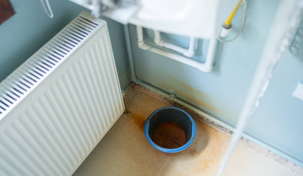 Best Mold removal after water damage  in Marathon, FL