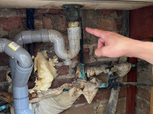  Marathon, FL Water damage restoration Pros