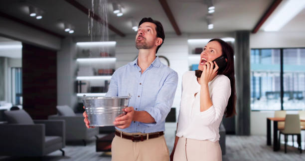 Best Water damage contractors near me  in Marathon, FL