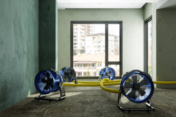 Best 24-hour water damage restoration  in Marathon, FL